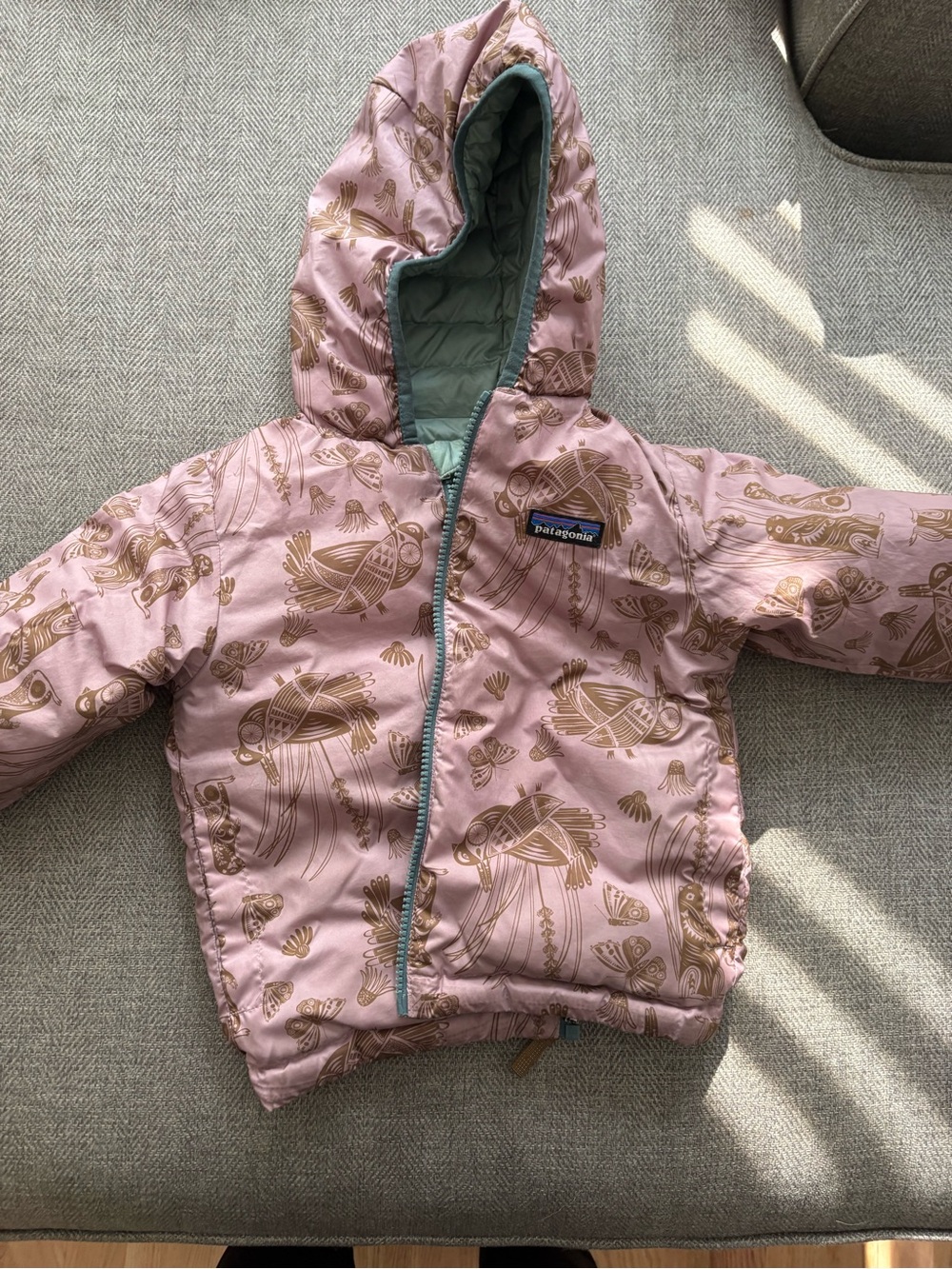 Patagonia Pink Jacket with Brown Bird Print and Mint Trim